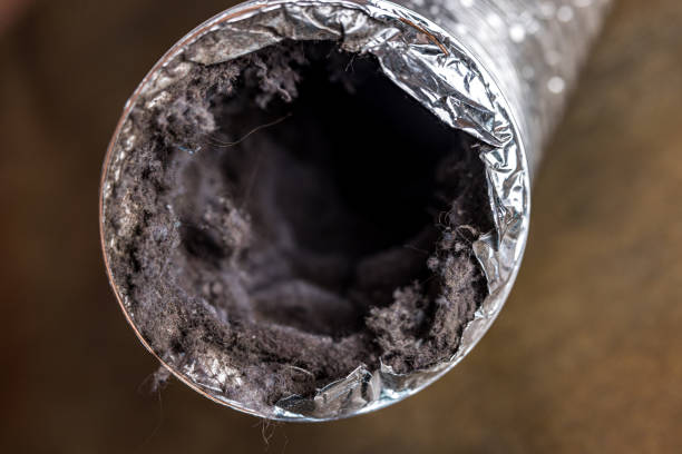 Brodhead, KY Airduct Cleaning Pros